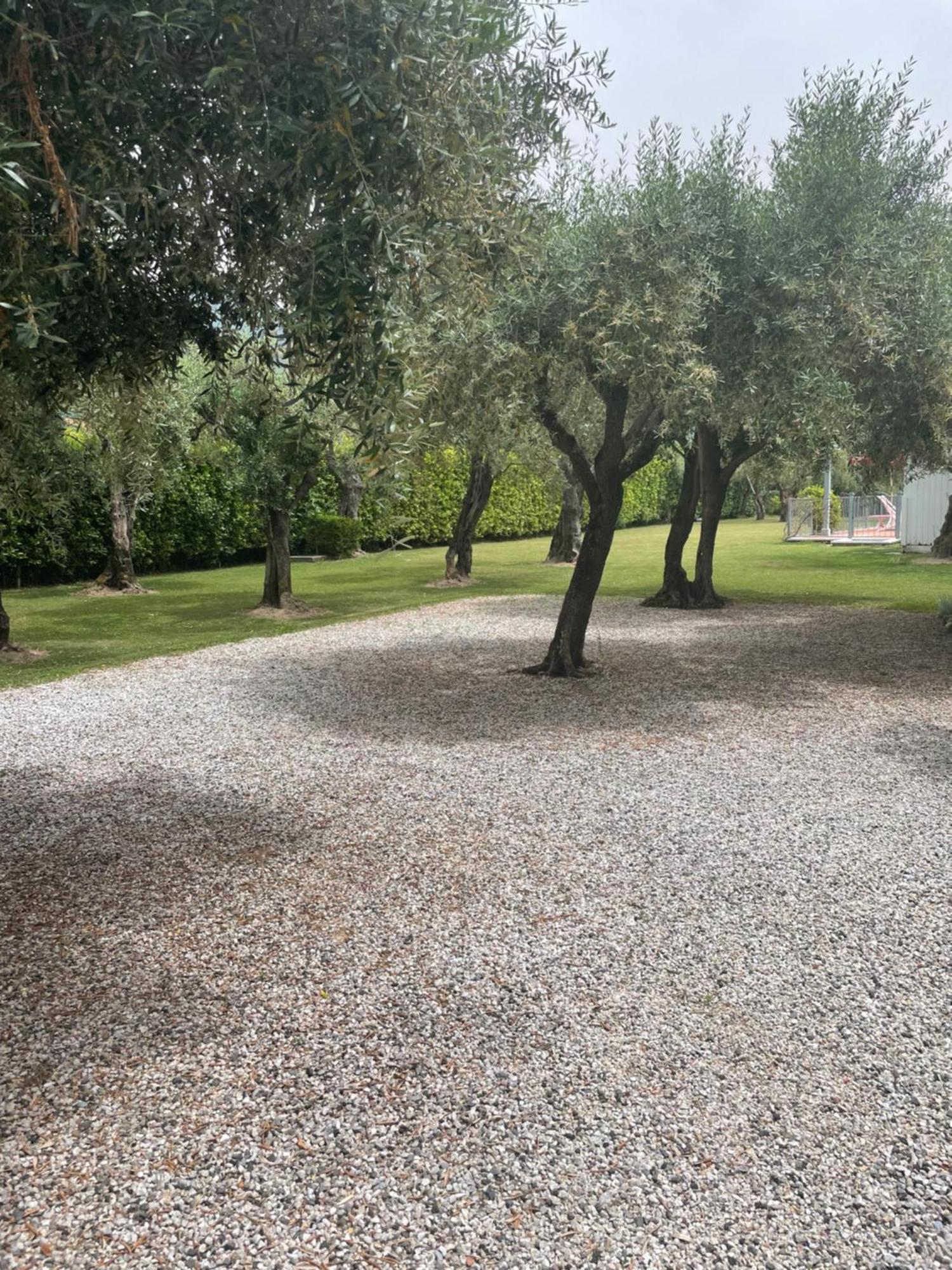 In Versilia Seravezza Exterior foto